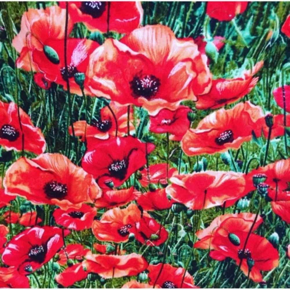 ISO Poppies Print: Trade or to Buy - Picture 3 of 6